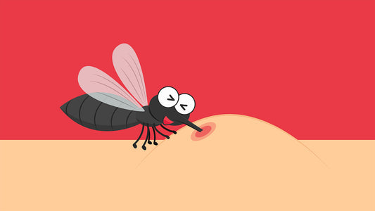 Mosquito Bites Still Itching After Months: What This Could Mean