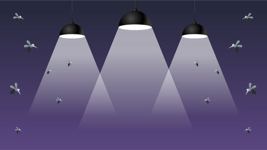 Are Mosquitoes Attracted To Light?