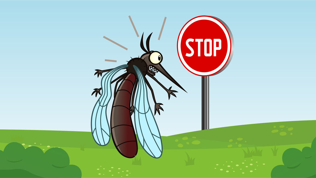 How To Bite A Mosquito Back: Top Tips