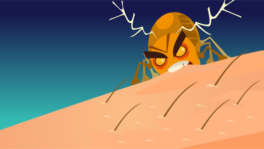 Large Mosquitoes and the Damage They Cause