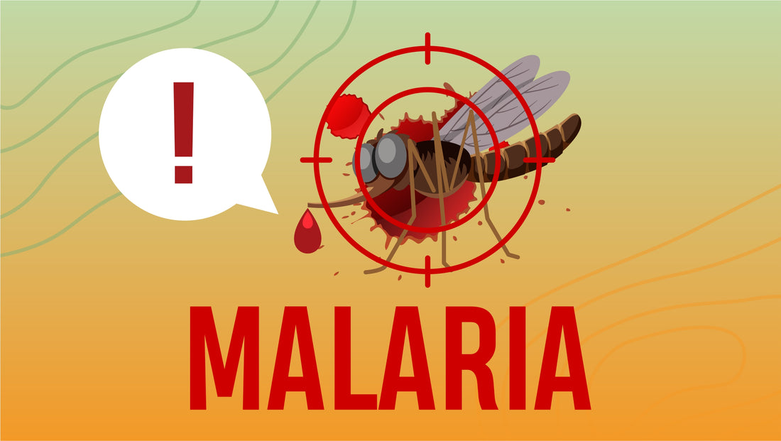 Malaria Symptoms: What To Watch Out For