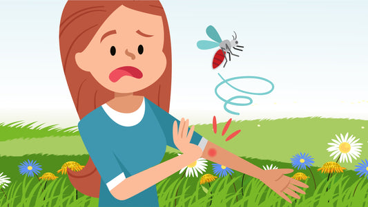 Mosquito Attacks and How To Prevent Them