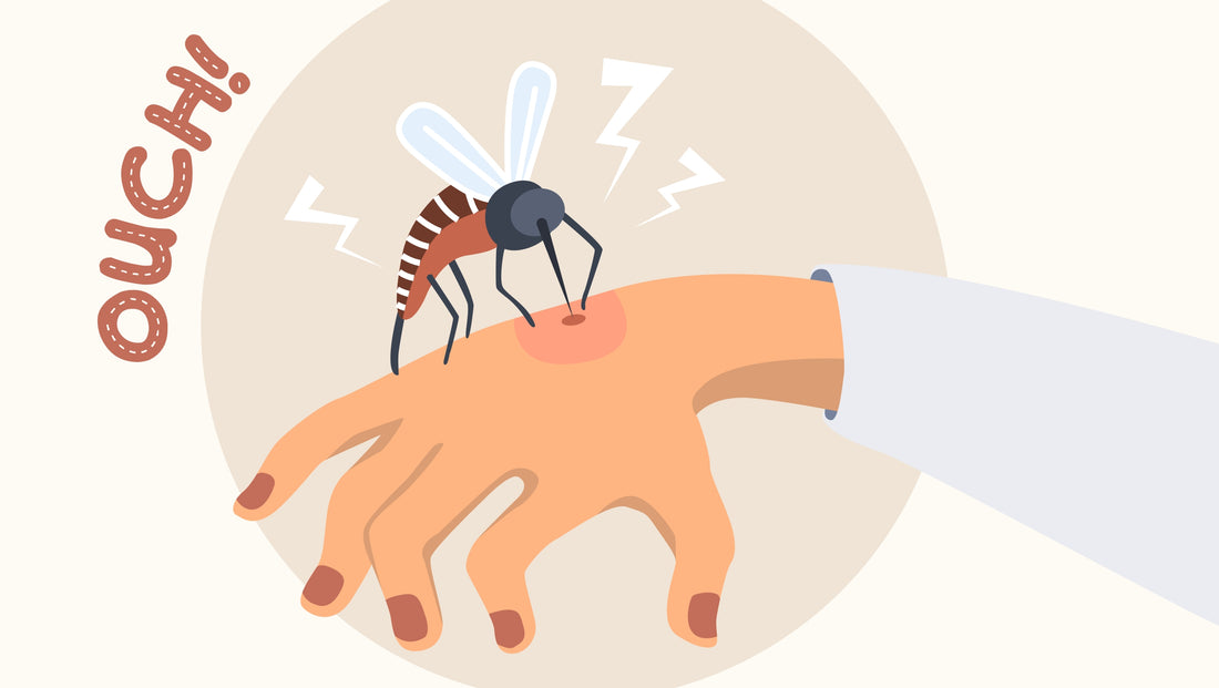 Drawing of a mosquito biting a human hand.