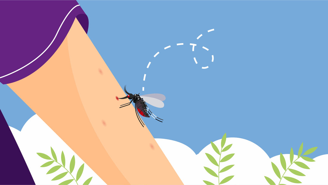 Mosquito Bite Symptoms: What To Look For