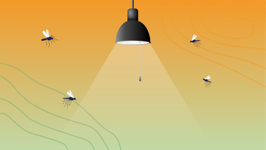 Mosquito Light: Ways To Attract Mosquitoes