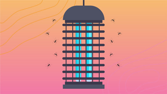 Mosquito Traps That Get the Job Done