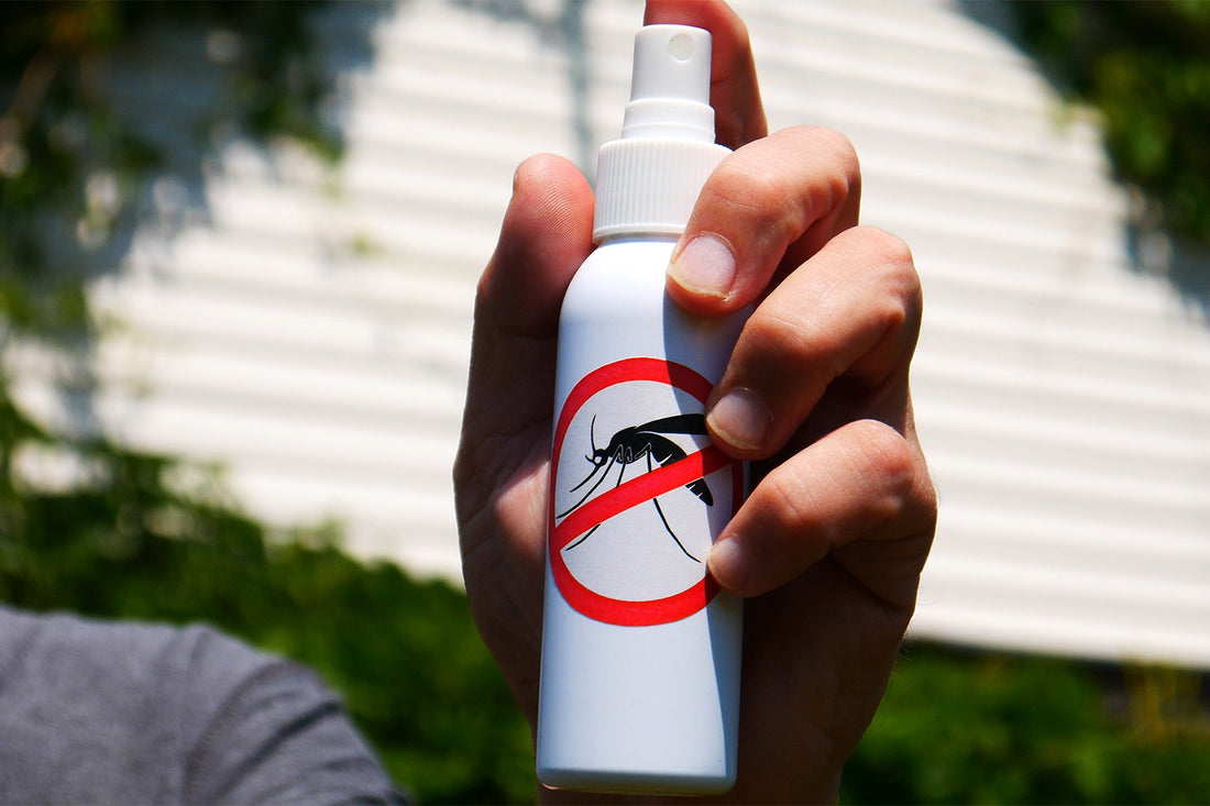 6 Scents Mosquitoes Hate: Here’s What Works