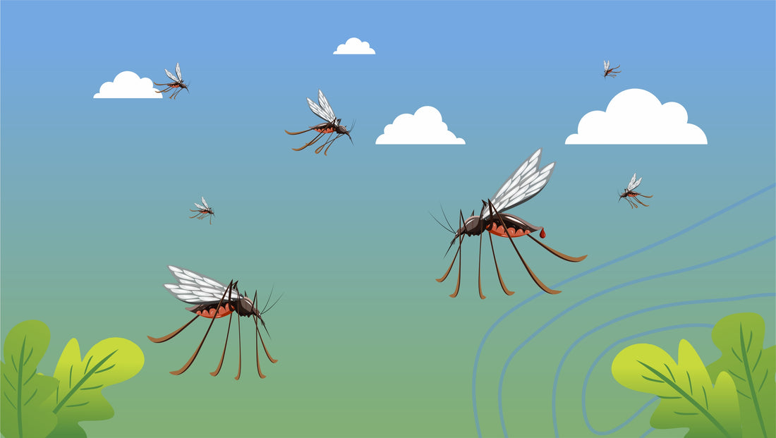 When Do Mosquitos Go Away?