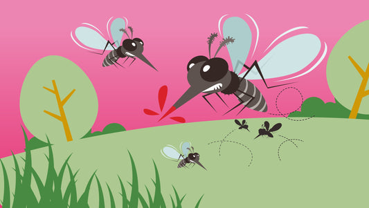 Why Are Mosquito Bites Itchy? How To Fix