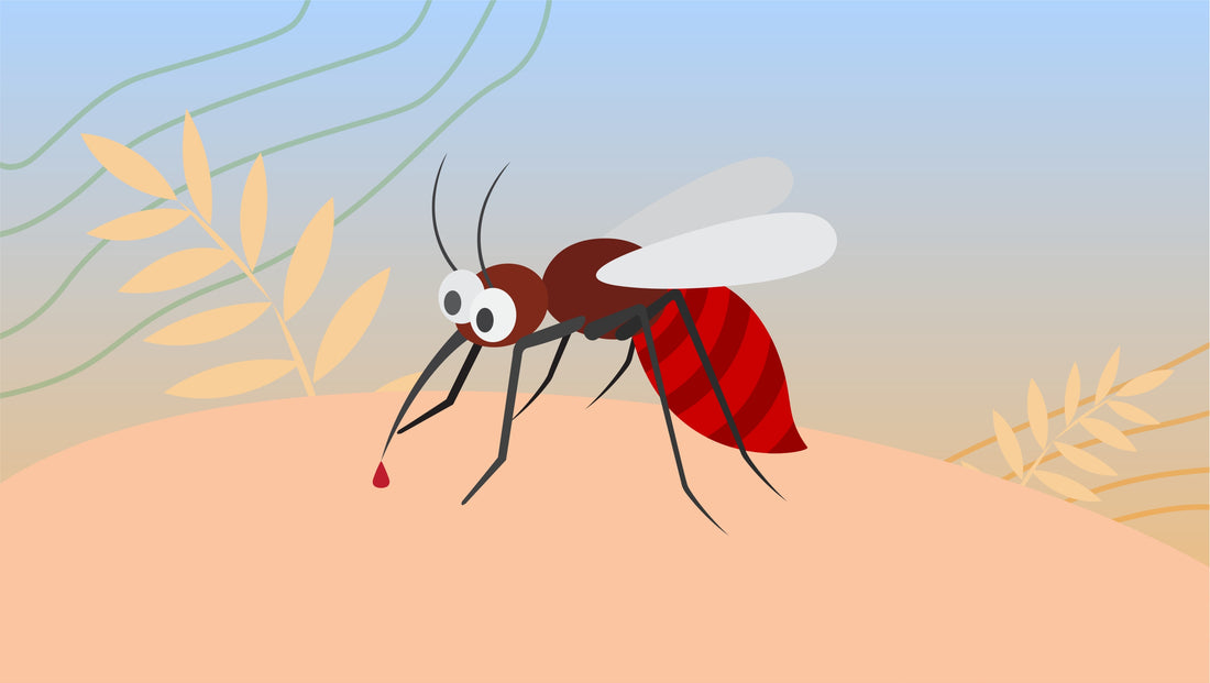 Why Do Mosquitoes Suck Blood?