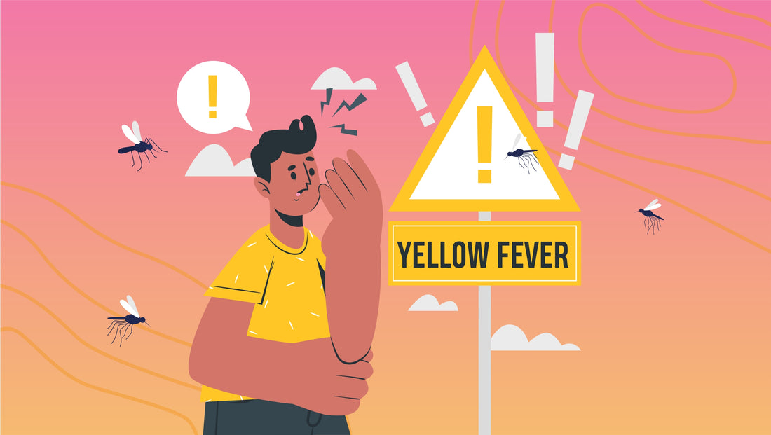 Yellow Fever: Symptoms, Treatments, and More
