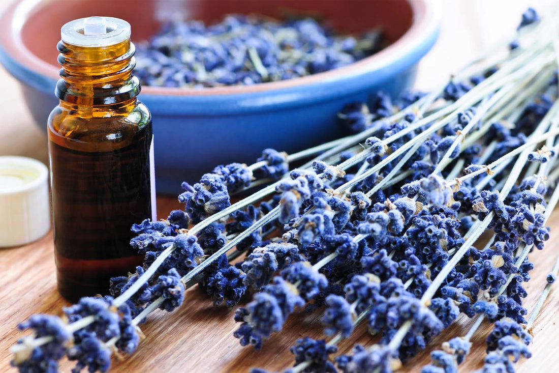 What Are the Best Essential Oils?
