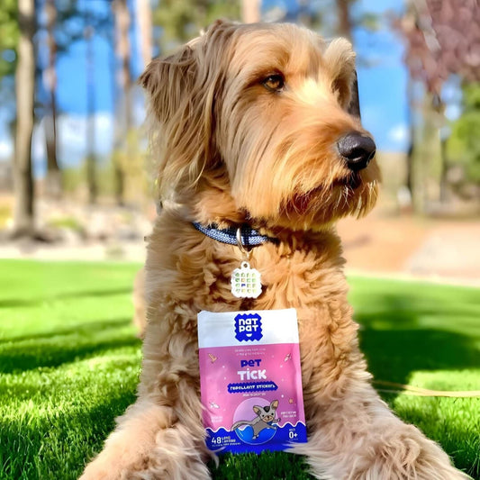 Golden doodle sitting on grass wearing a NatPat Pet TrailPatch sticker on its collar tag.