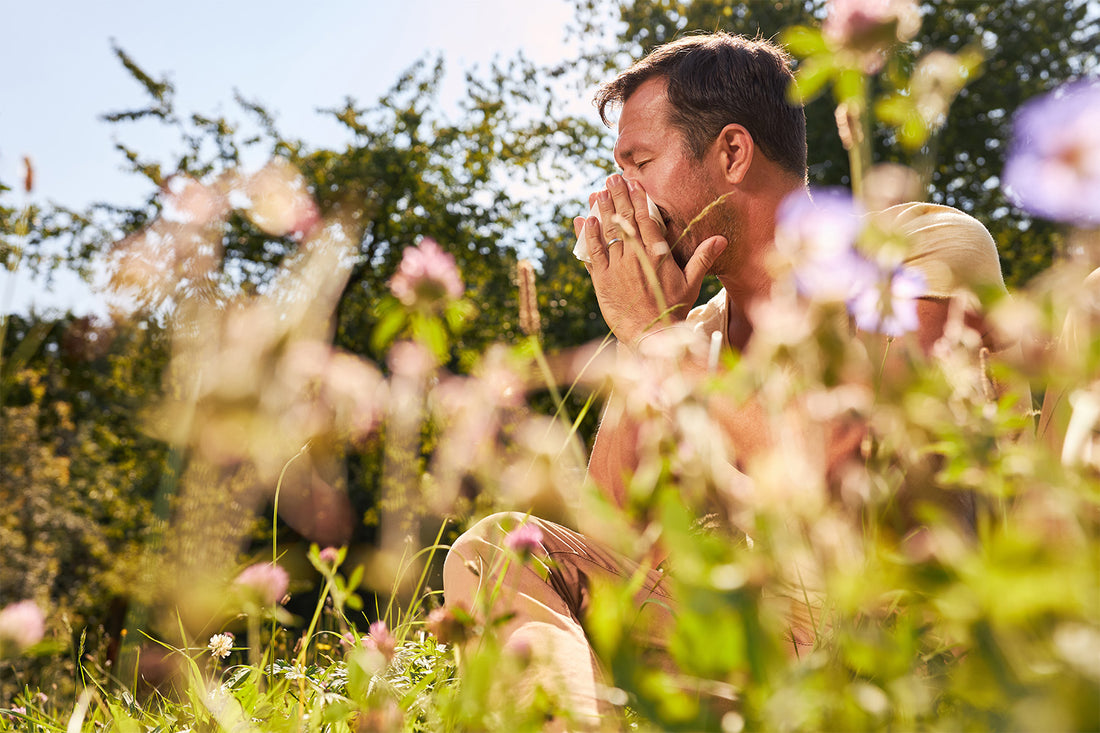 When Is Allergy Season How To Deal With Them Natural Patch Co When is allergy season how to deal with them natural patch co