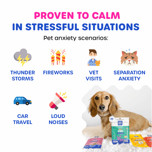 Natural Anxiety Relief 🌿 & Insect Repellent for Dogs & Cats 🐶 | NATPAT ...