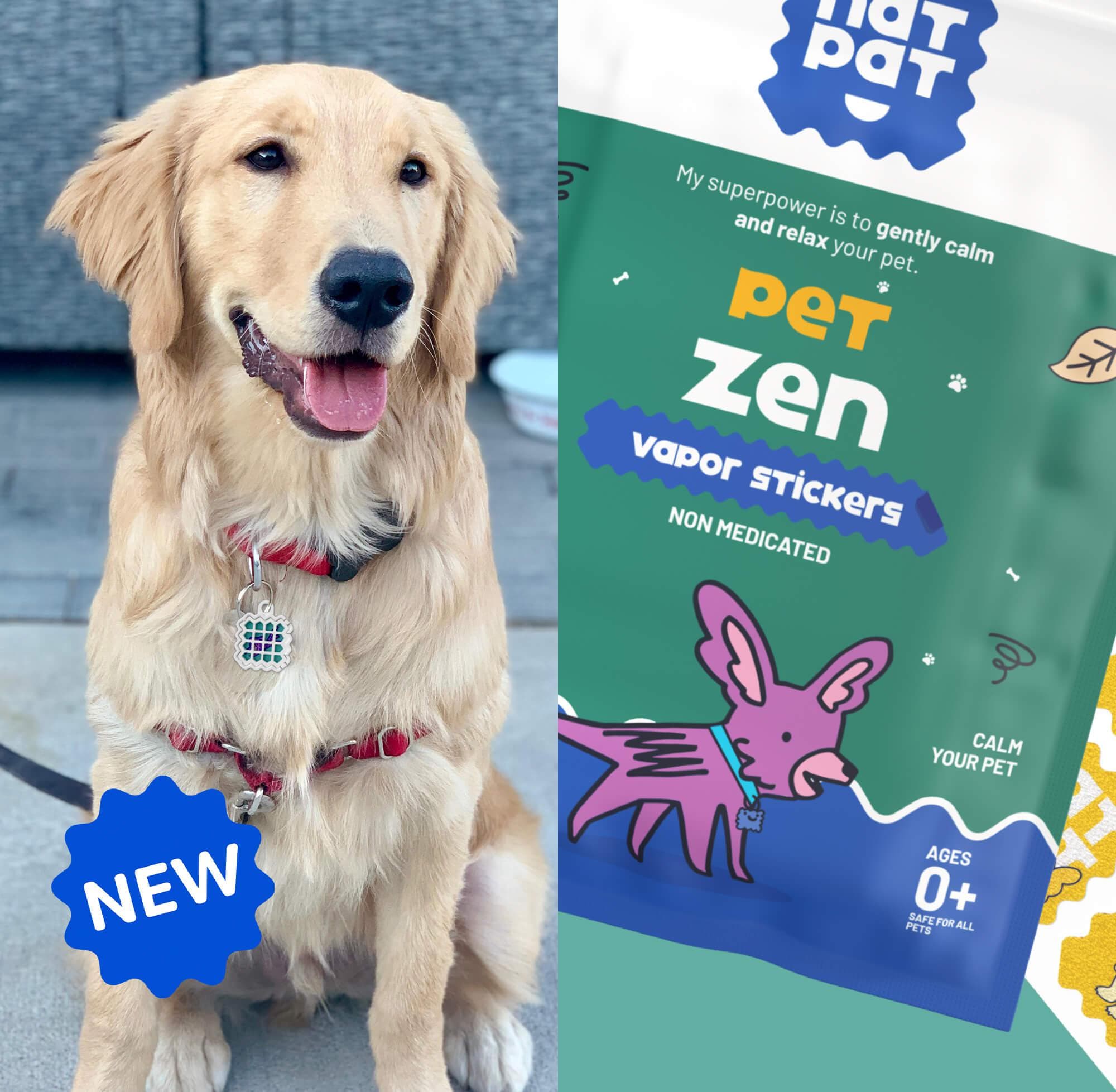 NATPAT Health and Wellness Patches: Your Path to Wellbeing