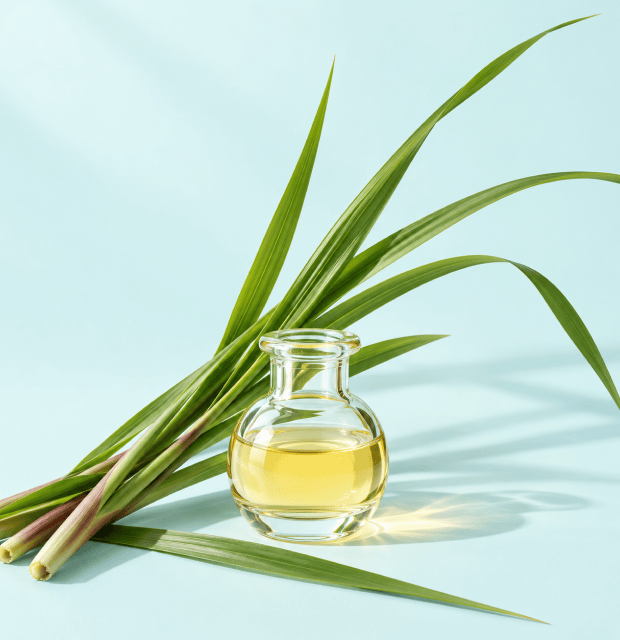Citronella oil