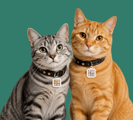 A relaxed cat resting comfortably, showing the calming effect of a Cat Zen sticker.