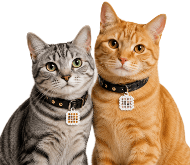 A grey tabby cat and an orange tabby cat sitting side by side against a green background, each wearing a black collar with a NatPat calming patch tag.