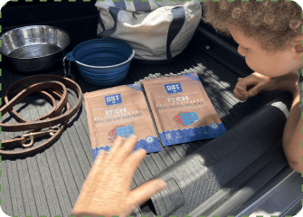 A curly-haired toddler leaning into the open boot of a car, looking at two NatPat Itch Relief Stickers packs laid out beside a leather dog leash, a collapsible blue water bowl, a metal bowl and a striped canvas bag, as an adult's hand reaches toward one pack.