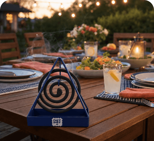 Backyard dinner at dusk