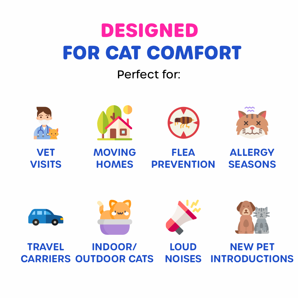 Cat Essential Care Kit