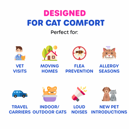 Cat Essential Care Kit