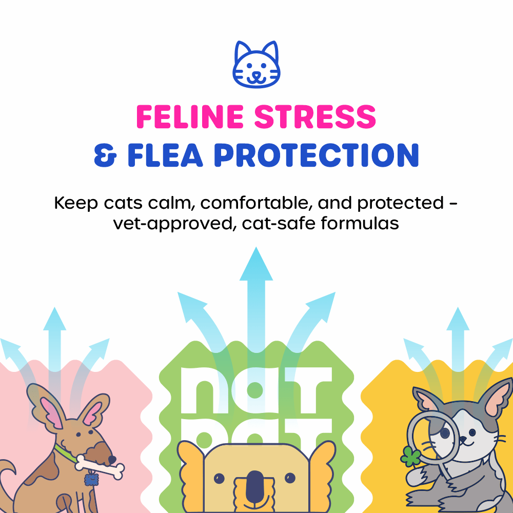 Cat Essential Care Kit