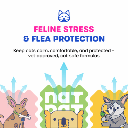 Cat Essential Care Kit