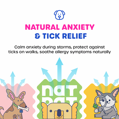 Dog Essential Care Kit