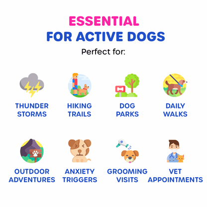 Dog Essential Care Kit