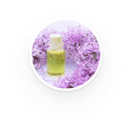 Clary Sage